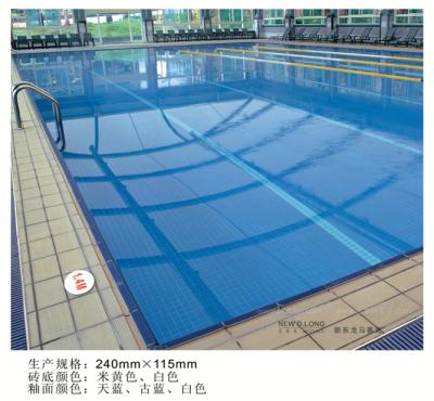 泳池砖配件-效果图1