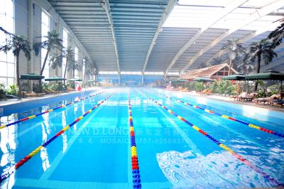 标准泳池12-海南